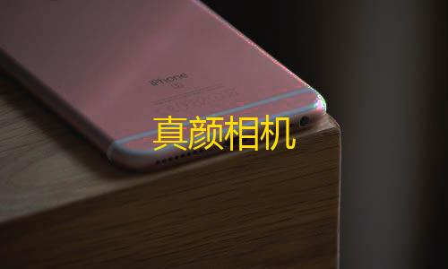 寂静直装真颜相机